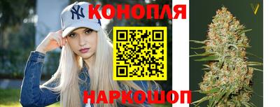 шишки Можайск