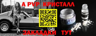 шишки Можайск