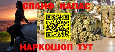 шишки Можайск