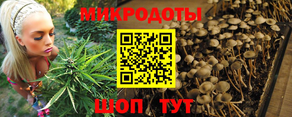 Галлюциногенные грибы Psilocybine cubensis  Вход с VPN  Соль-Илецк 