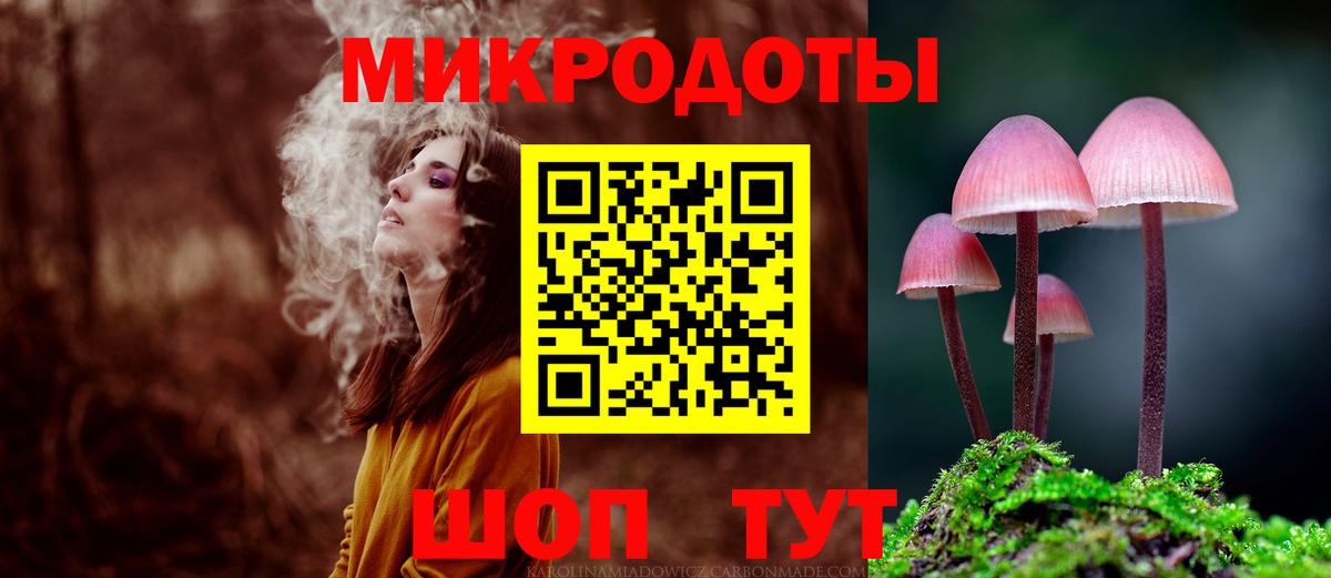Псилоцибиновые грибы Psilocybe Соль-Илецк