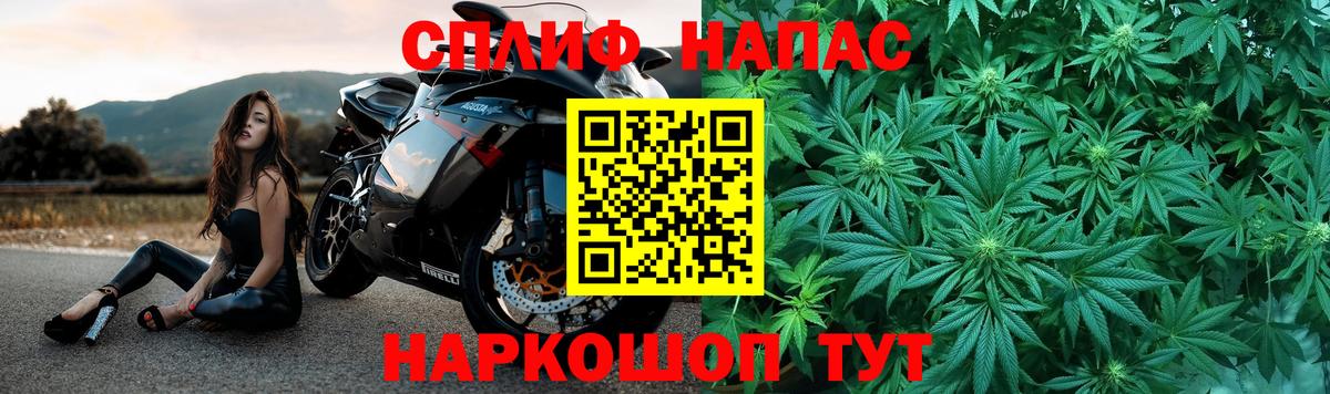 Бошки Шишки планчик Соль-Илецк